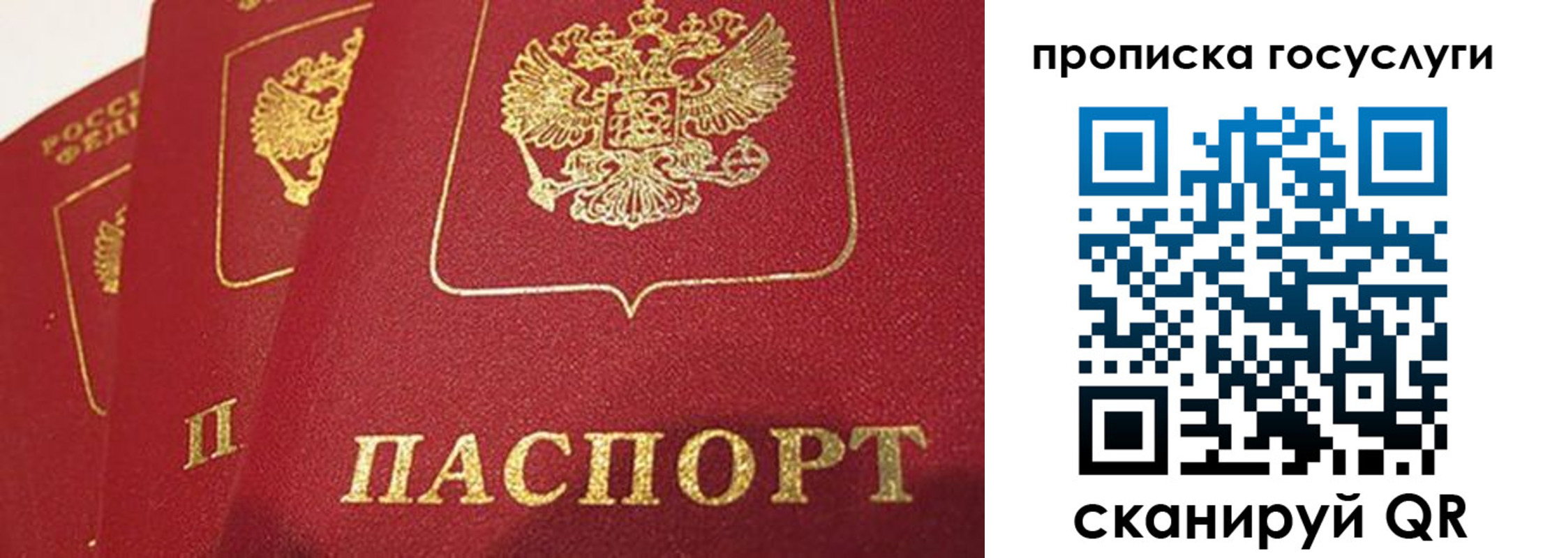 прописка от собственника в Кузнецке